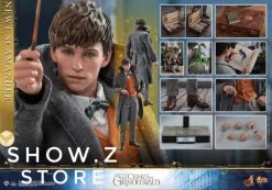 [Pre-Order] Hot Toys HT 1/6 Newt Scamander MMS512 Fantastic Beasts: The Crimes Of Grindelwald -Action Figure Shop c095dafc42