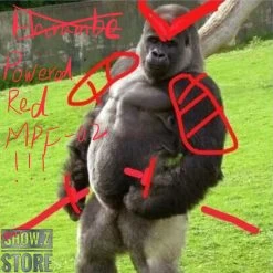 Daban DB Powered Red & 150 Gerbera Straight Upgrade Kit For 1/100 MG MBF-P02 MBFP02 Gundam Astray Red Frame -Action Figure Shop e20f105c6e